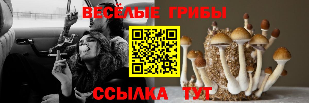 Галлюциногенные грибы мухоморы Анапа